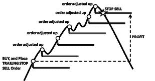 How to Trade Forex on Exness